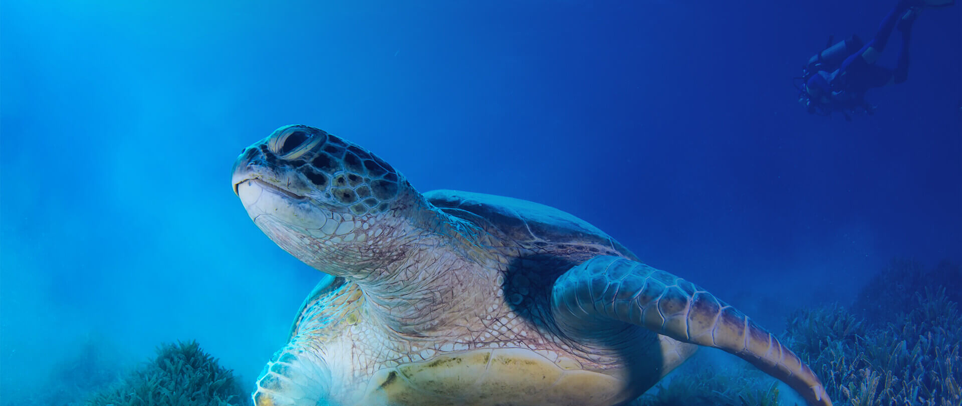  為下一代．淨(jìng)一滴水．盡一份心